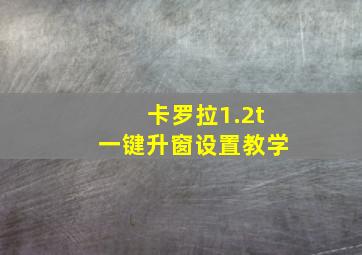 卡罗拉1.2t一键升窗设置教学