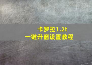 卡罗拉1.2t一键升窗设置教程