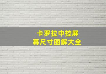 卡罗拉中控屏幕尺寸图解大全