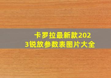 卡罗拉最新款2023锐放参数表图片大全