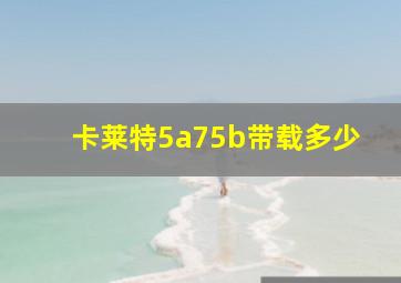 卡莱特5a75b带载多少