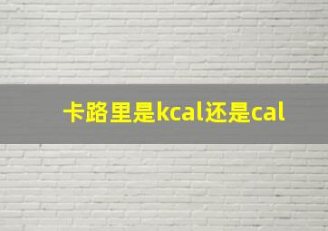 卡路里是kcal还是cal