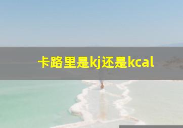 卡路里是kj还是kcal