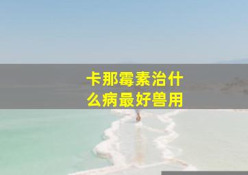 卡那霉素治什么病最好兽用