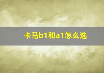 卡马b1和a1怎么选