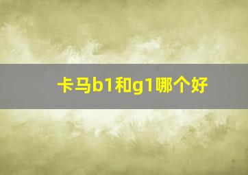 卡马b1和g1哪个好