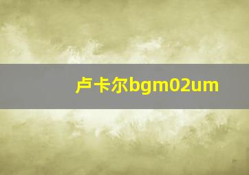 卢卡尔bgm02um