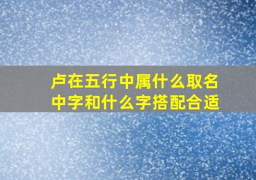 卢在五行中属什么取名中字和什么字搭配合适