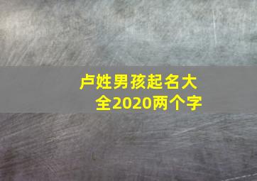 卢姓男孩起名大全2020两个字