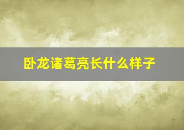 卧龙诸葛亮长什么样子