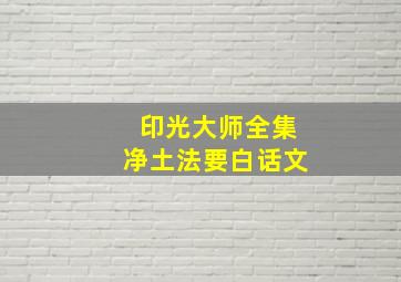 印光大师全集净土法要白话文