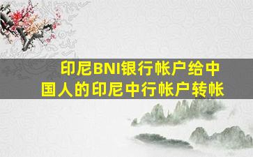 印尼BNI银行帐户给中国人的印尼中行帐户转帐