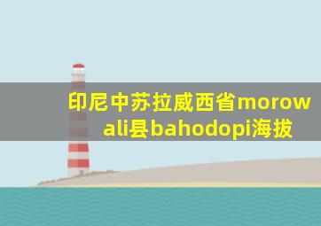 印尼中苏拉威西省morowali县bahodopi海拔