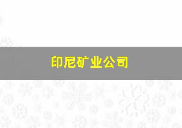 印尼矿业公司