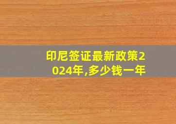 印尼签证最新政策2024年,多少钱一年