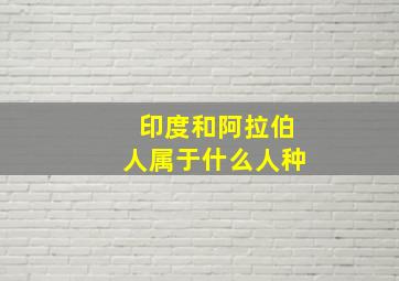 印度和阿拉伯人属于什么人种