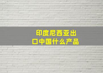 印度尼西亚出口中国什么产品