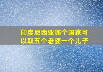 印度尼西亚哪个国家可以取五个老婆一个儿子