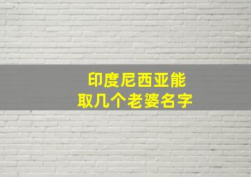 印度尼西亚能取几个老婆名字