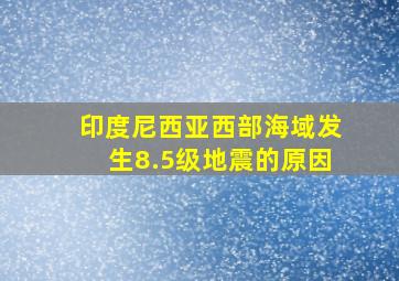 印度尼西亚西部海域发生8.5级地震的原因