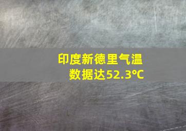 印度新德里气温数据达52.3℃