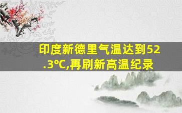 印度新德里气温达到52.3℃,再刷新高温纪录