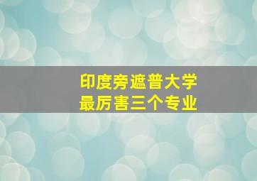 印度旁遮普大学最厉害三个专业