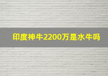 印度神牛2200万是水牛吗