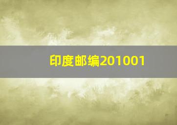 印度邮编201001