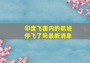 印度飞国内的航班停飞了吗最新消息