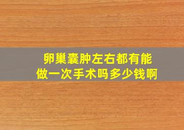 卵巢囊肿左右都有能做一次手术吗多少钱啊