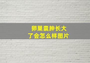 卵巢囊肿长大了会怎么样图片