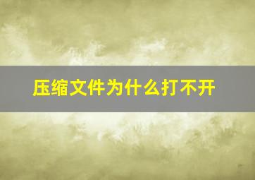 压缩文件为什么打不开