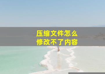 压缩文件怎么修改不了内容