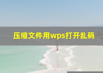 压缩文件用wps打开乱码