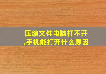 压缩文件电脑打不开,手机能打开什么原因