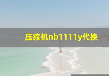 压缩机nb1111y代换