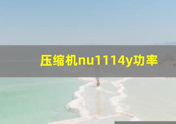 压缩机nu1114y功率