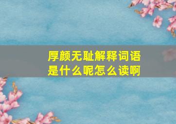 厚颜无耻解释词语是什么呢怎么读啊