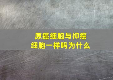 原癌细胞与抑癌细胞一样吗为什么