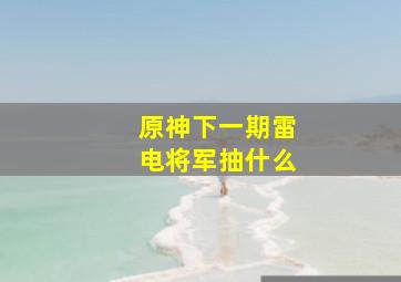 原神下一期雷电将军抽什么