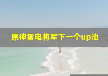 原神雷电将军下一个up池