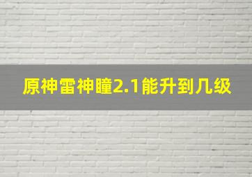 原神雷神瞳2.1能升到几级