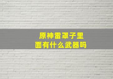 原神雷罩子里面有什么武器吗