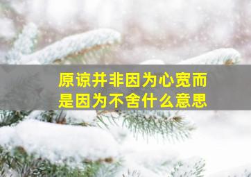 原谅并非因为心宽而是因为不舍什么意思