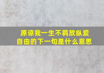 原谅我一生不羁放纵爱自由的下一句是什么意思