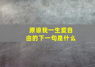 原谅我一生爱自由的下一句是什么