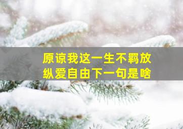 原谅我这一生不羁放纵爱自由下一句是啥