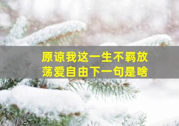 原谅我这一生不羁放荡爱自由下一句是啥