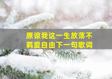 原谅我这一生放荡不羁爱自由下一句歌词